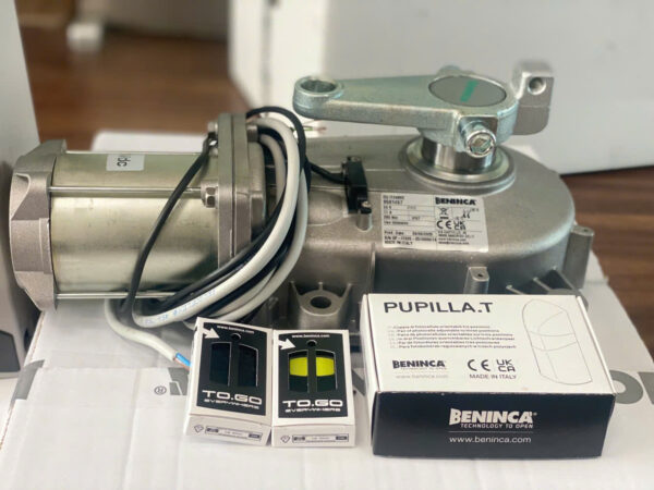 Motor Cổng Âm Sàn 24V BENINCA DU.IT24NVE